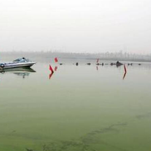 污水排放總氮不達標怎么處理