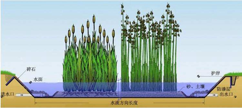 人工濕地生活污水處理技術分析